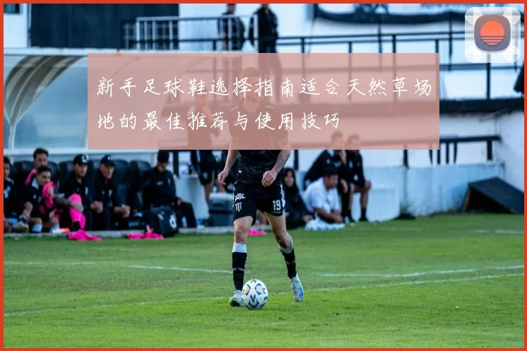 新手足球鞋选择指南适合天然草场地的最佳推荐与使用技巧