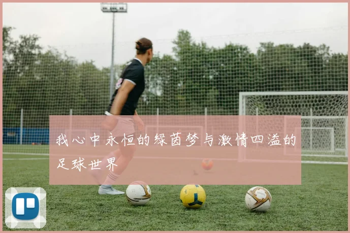 我心中永恒的绿茵梦与激情四溢的足球世界