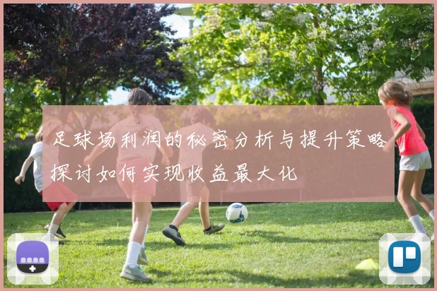 足球场利润的秘密分析与提升策略探讨如何实现收益最大化