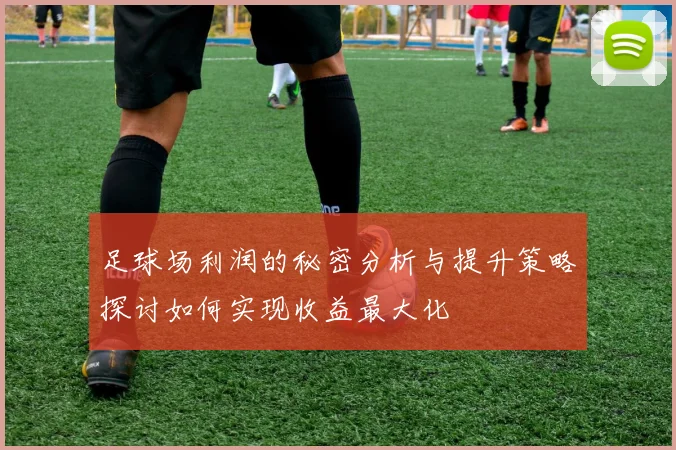 足球场利润的秘密分析与提升策略探讨如何实现收益最大化