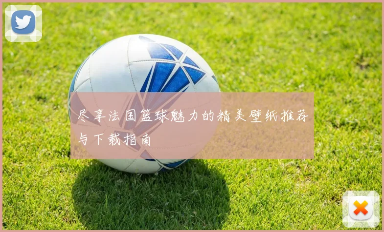 尽享法国篮球魅力的精美壁纸推荐与下载指南