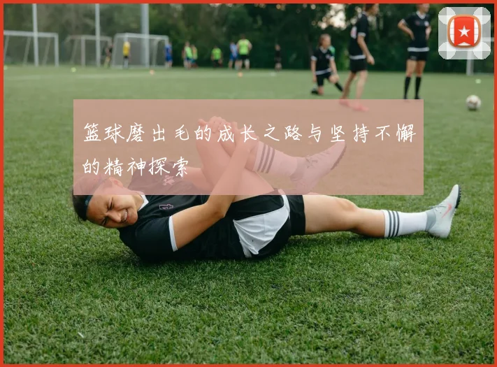 篮球磨出毛的成长之路与坚持不懈的精神探索