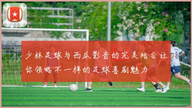 少林足球与西瓜影音的完美结合让你领略不一样的足球喜剧魅力