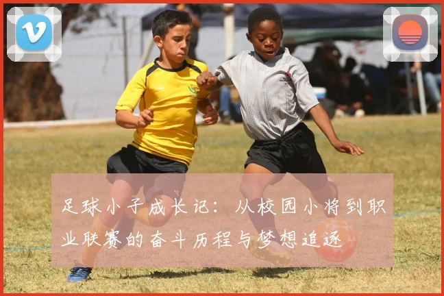足球小子成长记：从校园小将到职业联赛的奋斗历程与梦想追逐